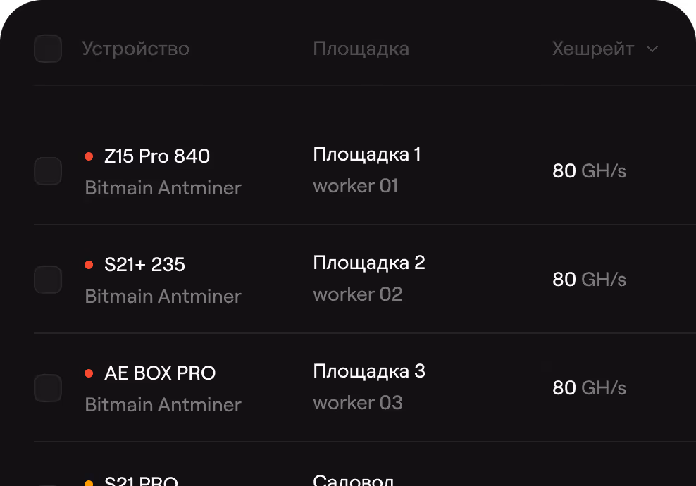 Список устройств Bitmain Antminer с их площадками и хешрейтом 80 GH/s для каждого воркера.