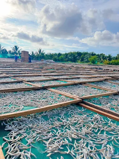 Seafood prepared using established processing methods