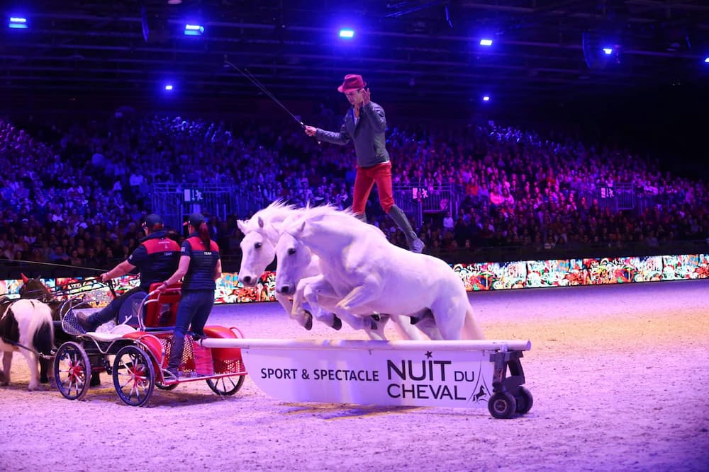 Deux chevaux blancs sautent un obstacle dans un spectacle équestre avec un homme en rouge et noir debout sur eux, devant un public nombreux.