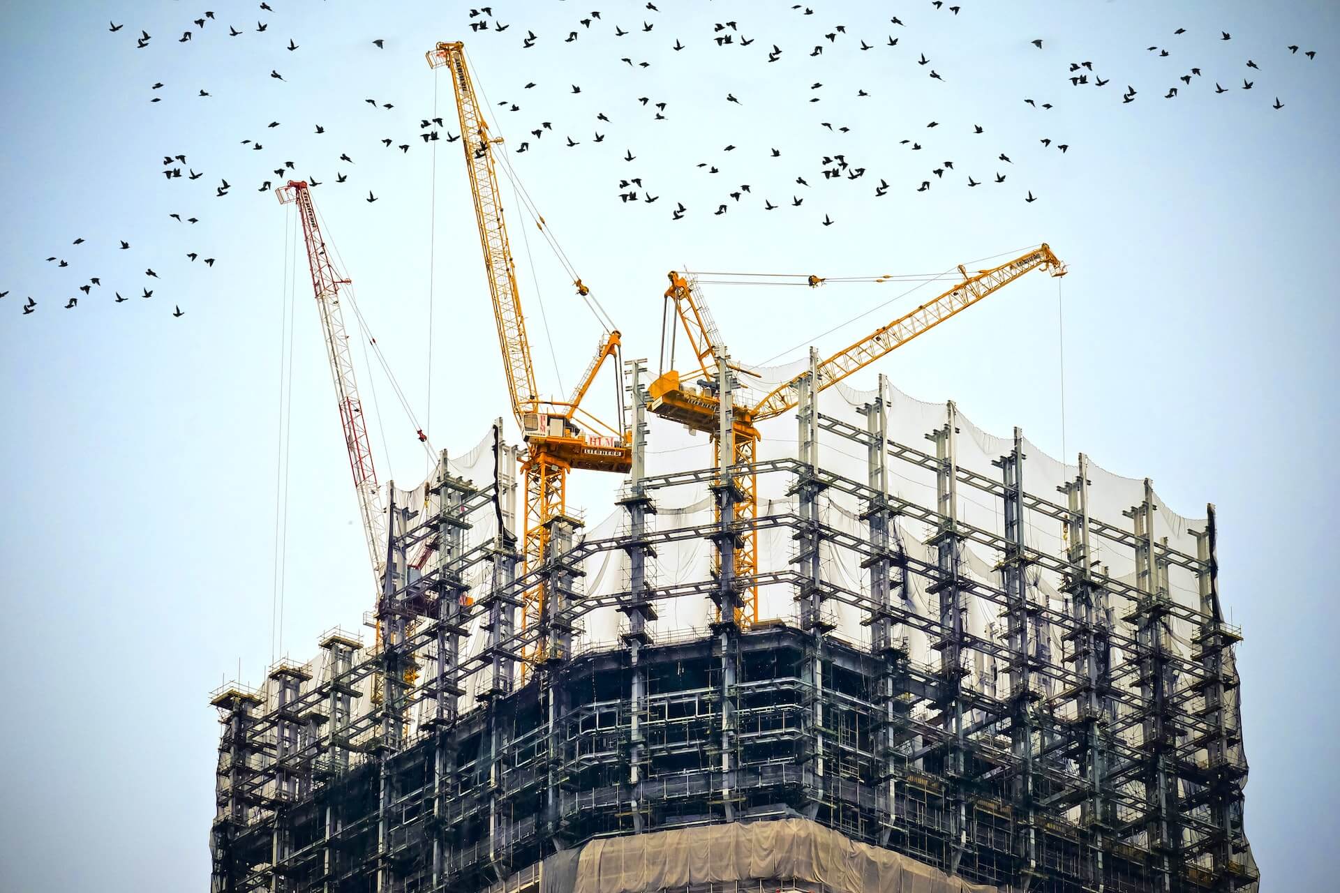Construction & Trades