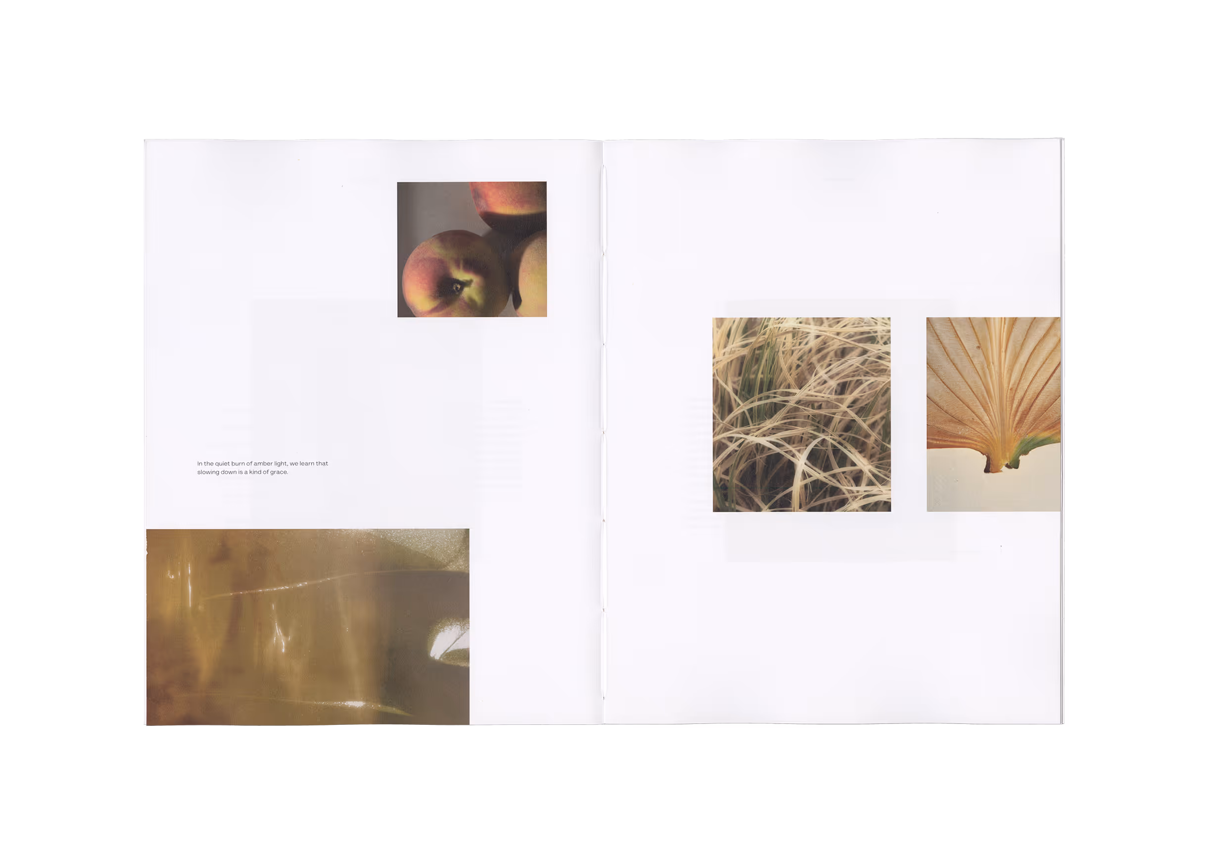 Open book with close-up photos of apples, dried grass, and a dried leaf, plus a brown abstract image.