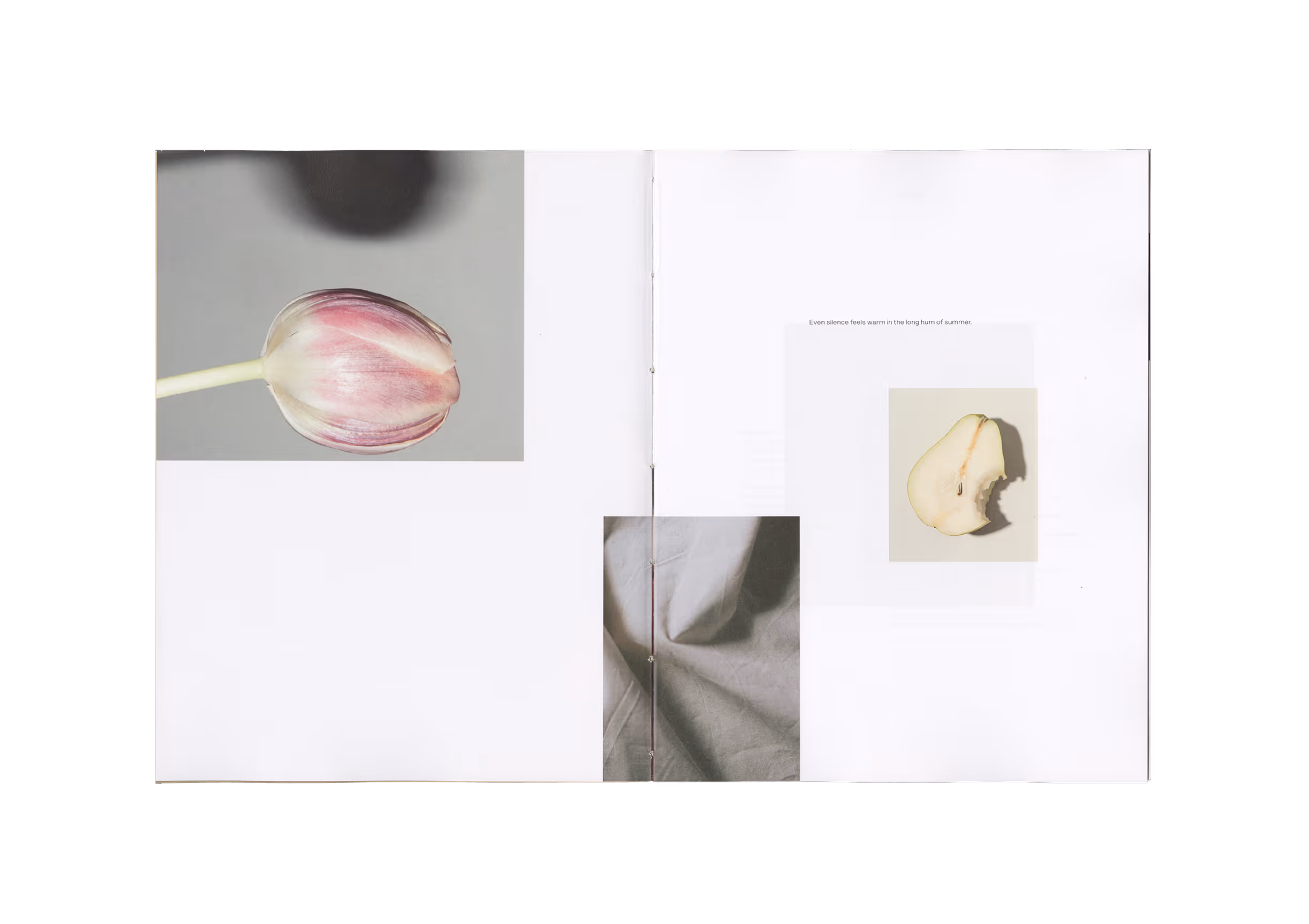 Open magazine spread with photos of a pink tulip, wrinkled fabric, and a pear slice with a bite taken.