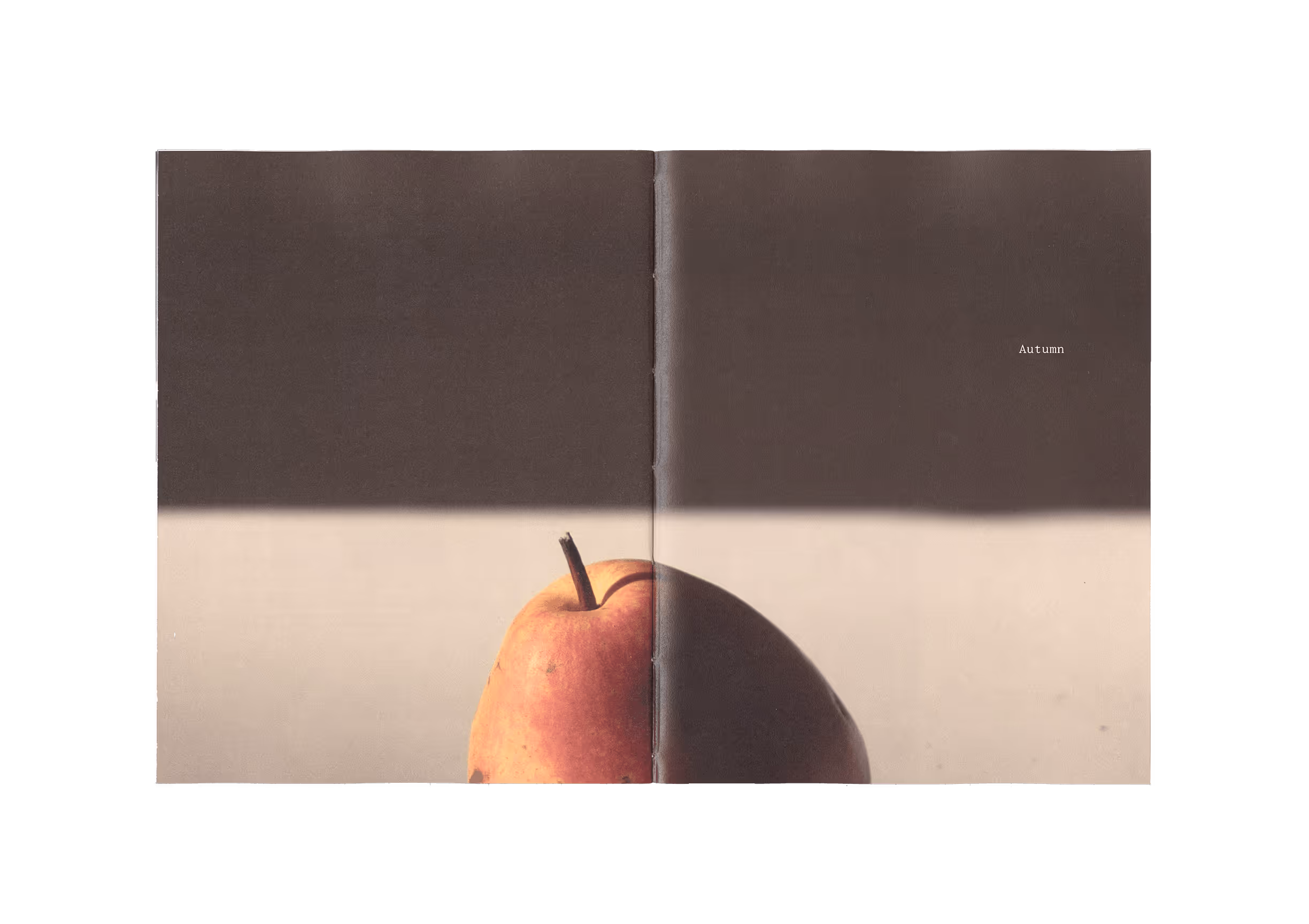 Half of an apple casting a shadow on a surface with the word Autumn on a dark background.