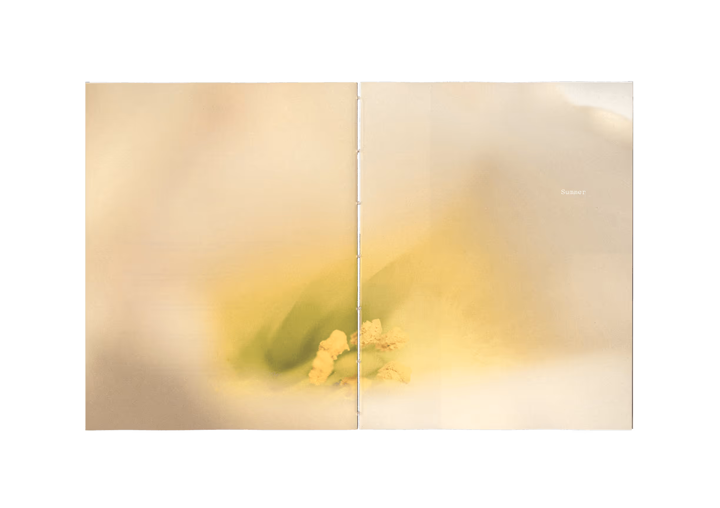 Soft-focus close-up of a pale yellow flower’s center with the word ‘Summer’ on the right page.