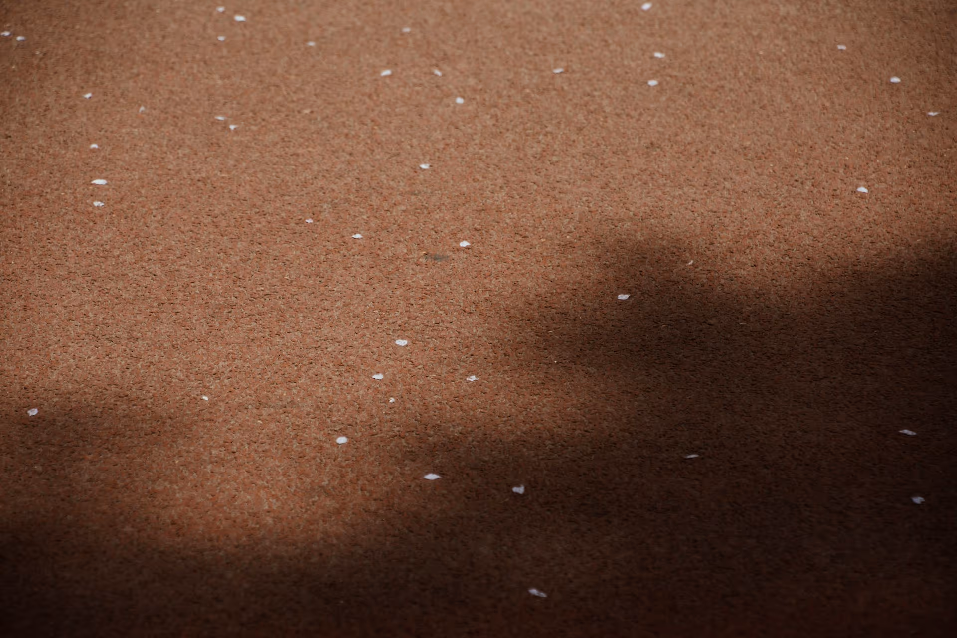Brown textured surface with scattered small white petals and a shadow cast diagonally across it.