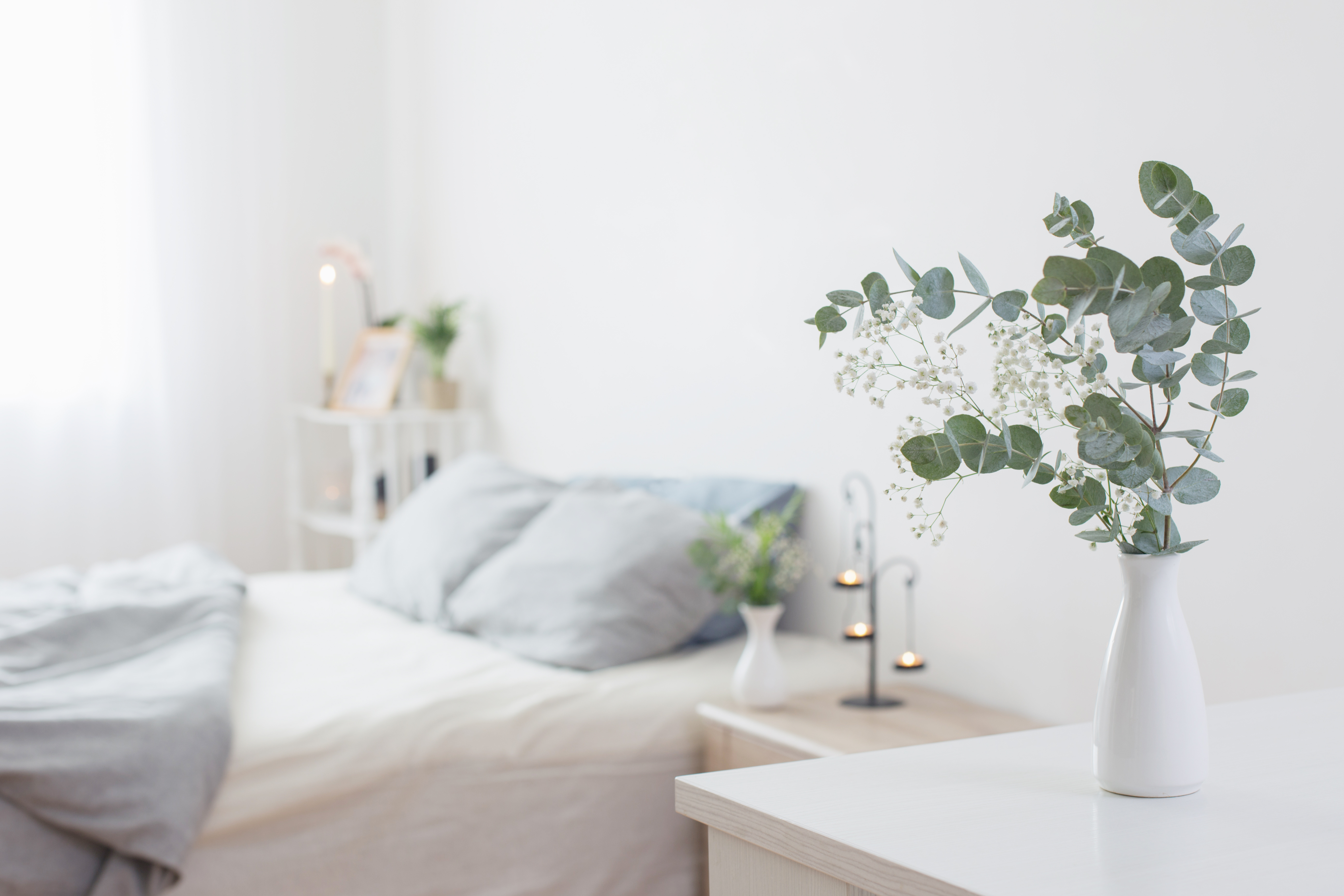 bed and plant stock image