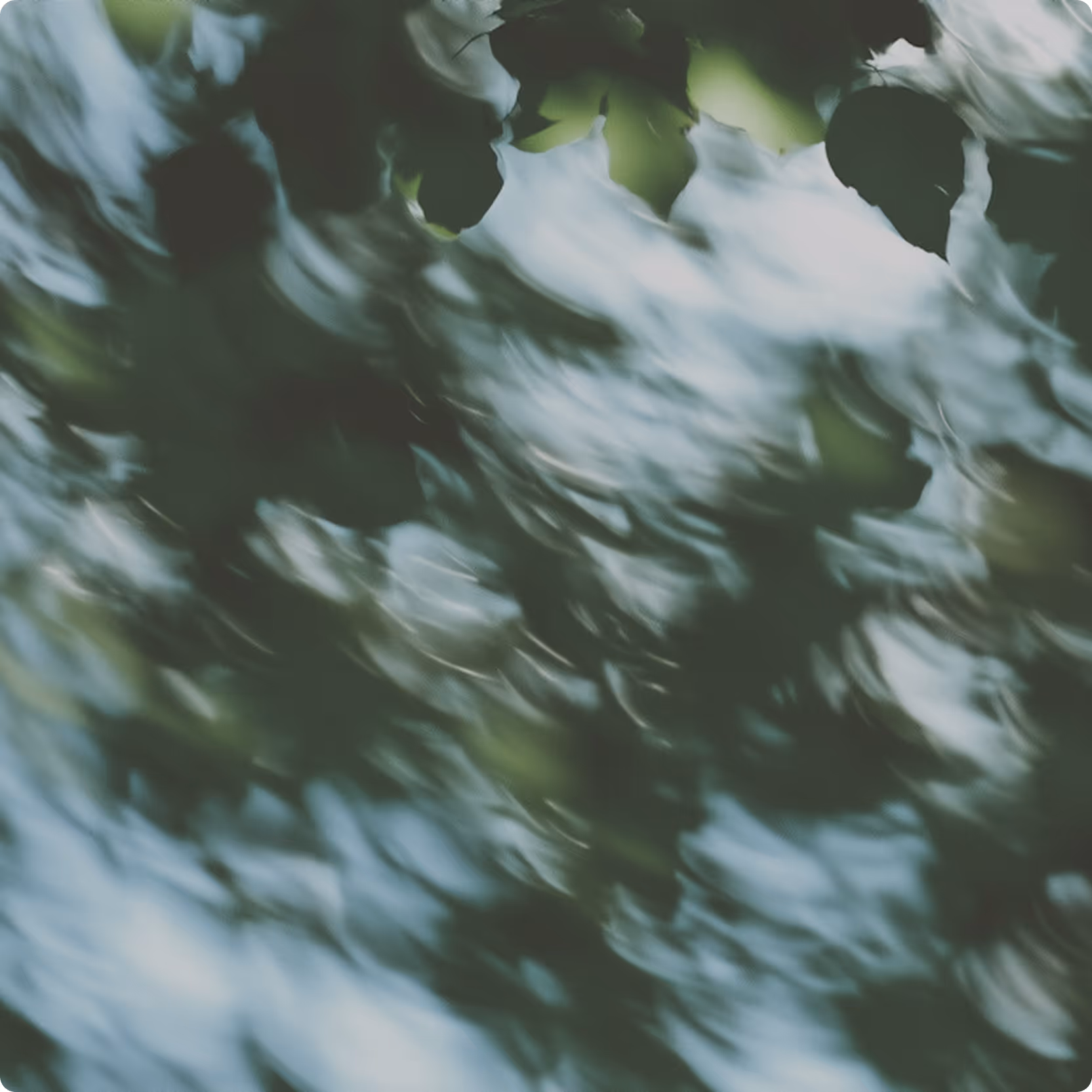 Catania - Consulting Webflow Template - Designed by Azwedo.com and Wedoflow.com