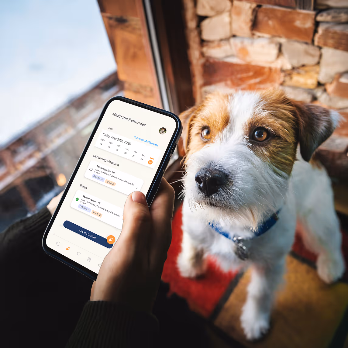 Person holding a smartphone showing a medicine reminder app next to a small white and brown dog with a blue collar.