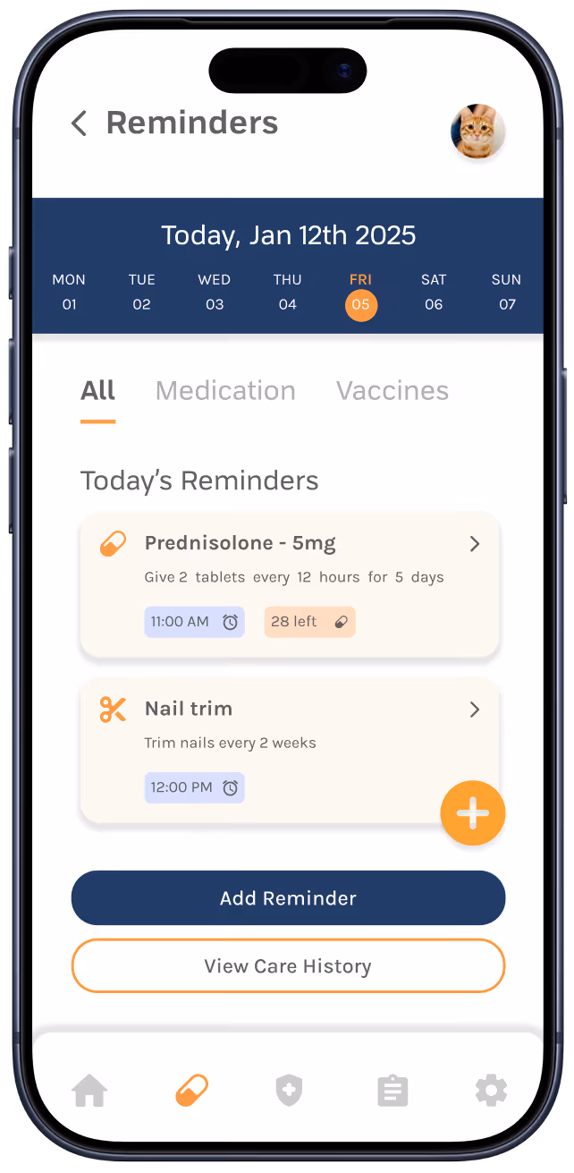 Mobile screen showing a reminders app with medication and nail trim tasks listed and options to add reminders or view care history.