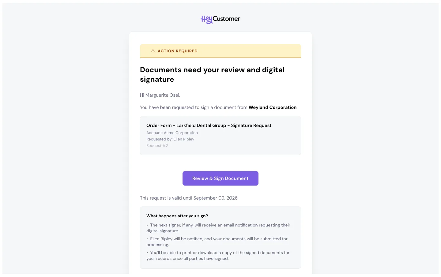 The signing invitation email. An Action required banner sits above the heading Documents need your review and digital signature, a card naming the document, account and requester, a Review and Sign Document button, the date the request is valid until, and a short list of what happens after signing.