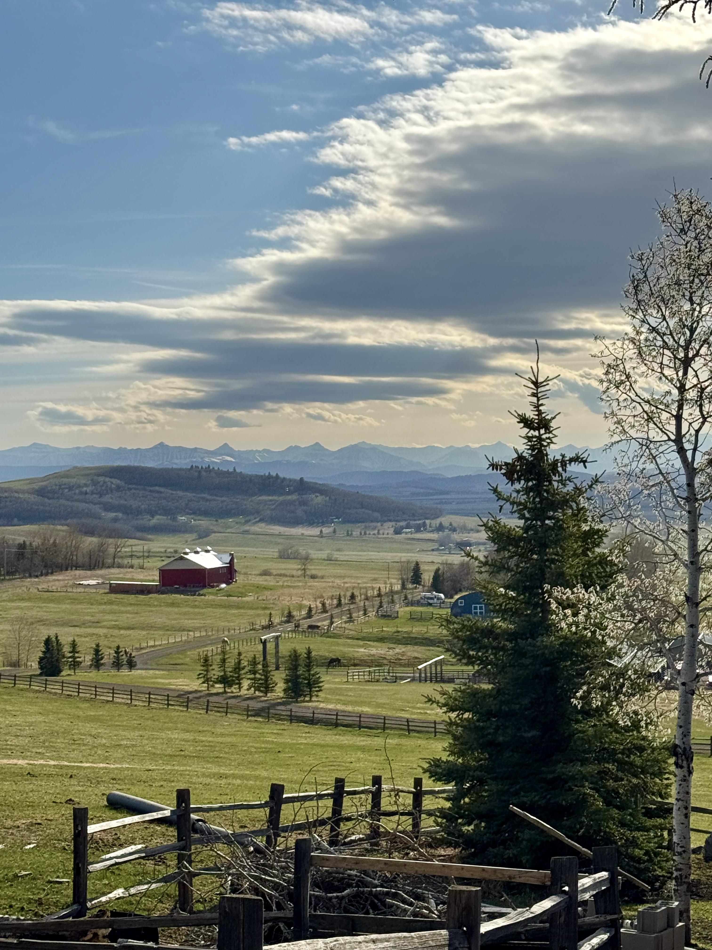 Diamond Valley farm