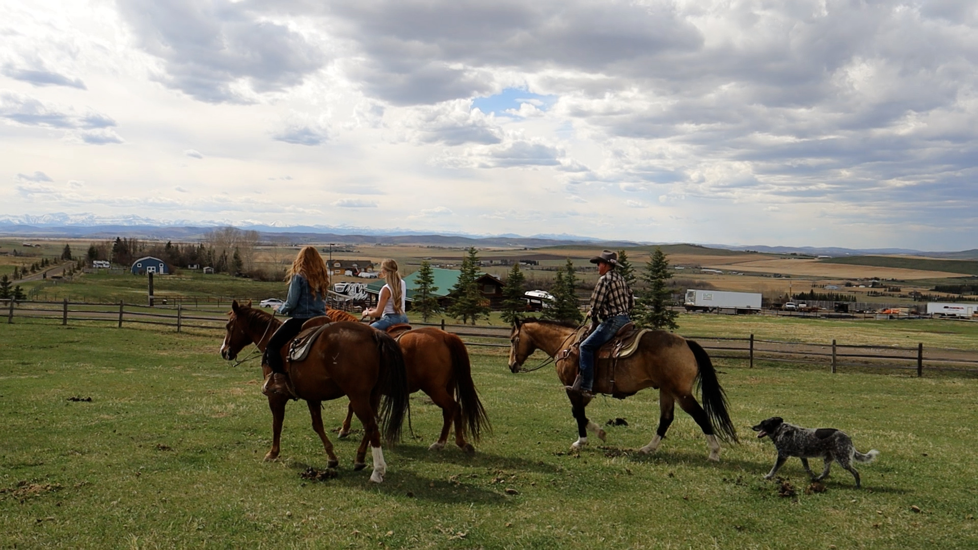 Three people riding horses on a grassy field with a dog nearby and a rural landscape in the distance.