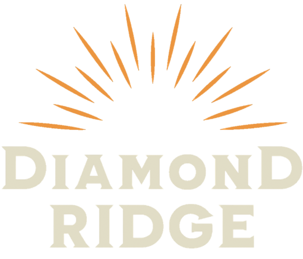 Diamond Ridge logo with stylized orange sun rays above the text.