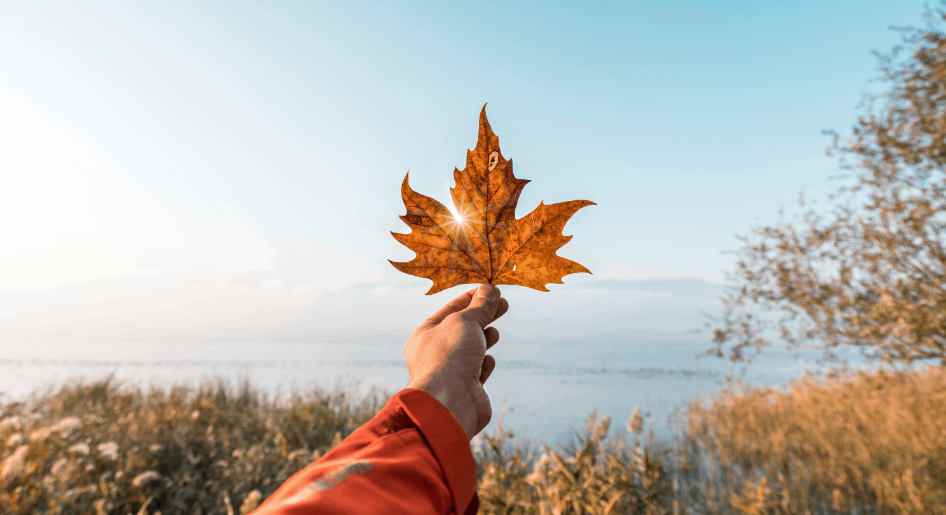 Hand holding a dried orange maple leaf with sunlight shining through, against a background of a lake and autumn foliage.