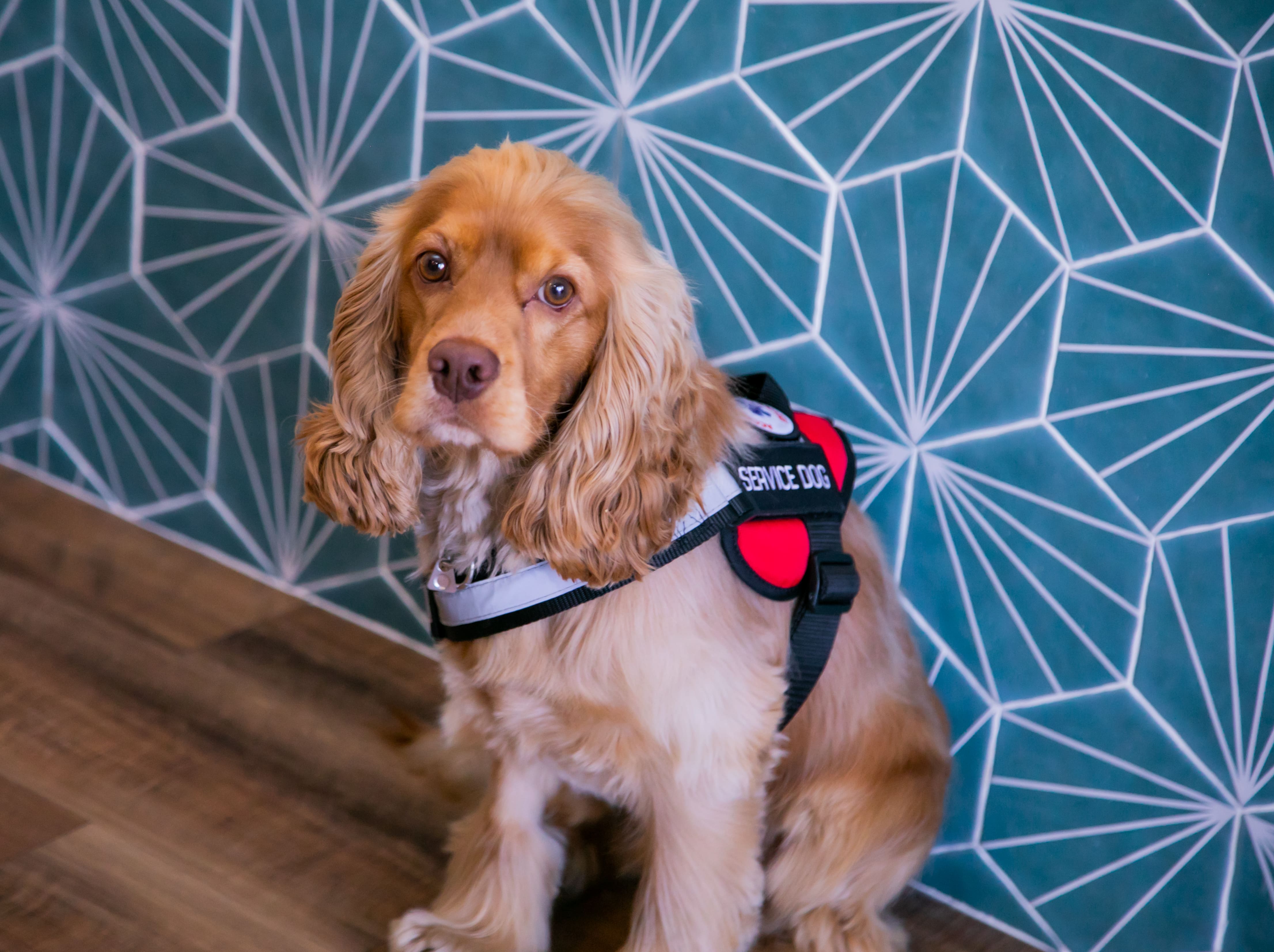 Ad Labore Saepe Sint