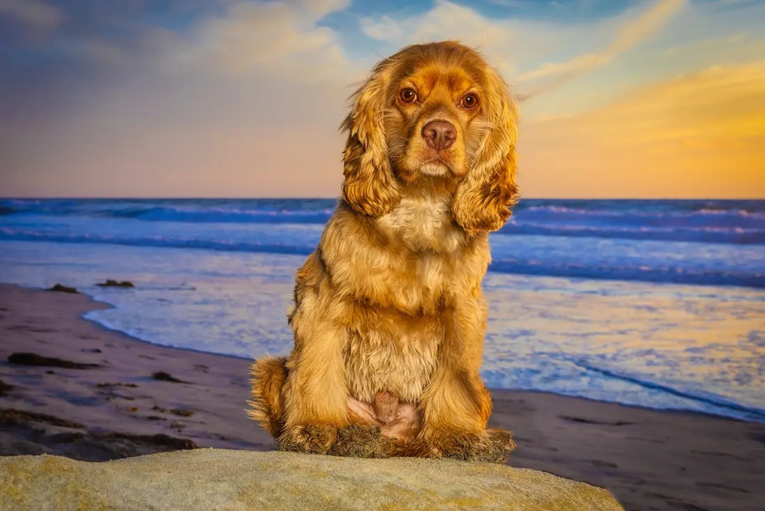 Headshot of Team Members 