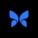 Butterfly Network