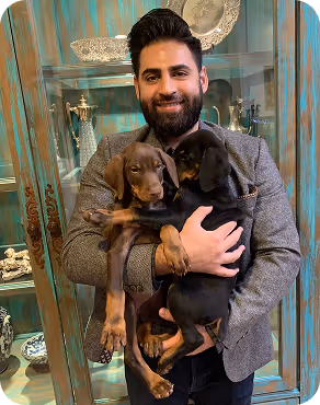 Man with dark hair and beard wearing a grey blazer holding two Doberman puppies, one brown and one black, in front of a glass cabinet.