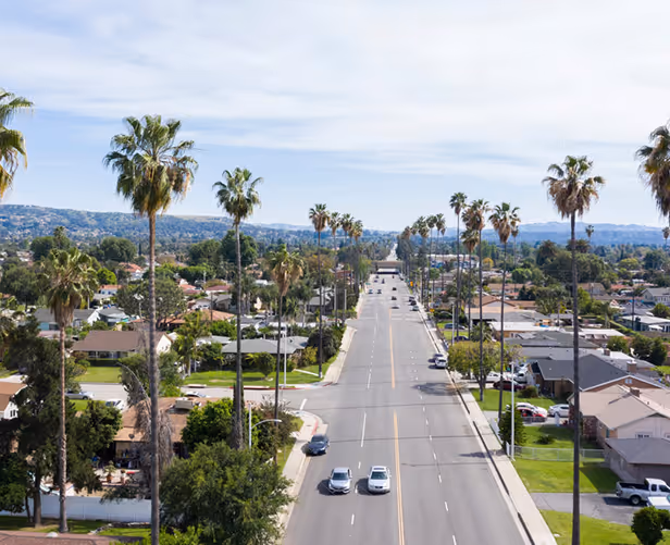 Wide street lined with tall palm trees and residential houses under a partly cloudy sky.