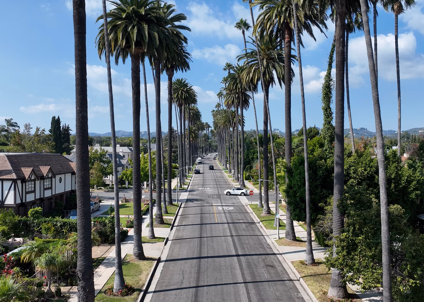 Straight residential street lined with tall palm trees on both sides under a blue sky with scattered clouds.