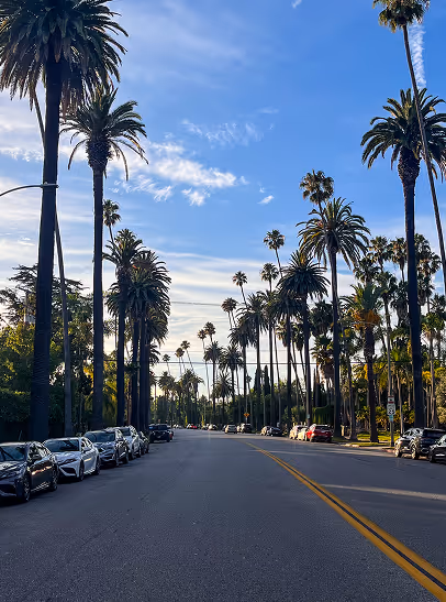 View of a wide street lined with tall palm trees and parked cars under a partly cloudy blue sky.