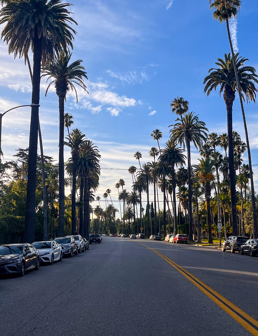 Wide street lined with tall palm trees and parked cars under a blue sky with light clouds.