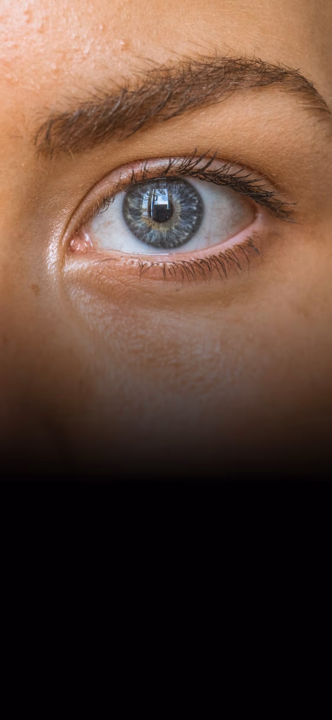 Close-up of a blue eye with detailed eyelashes and eyebrow.