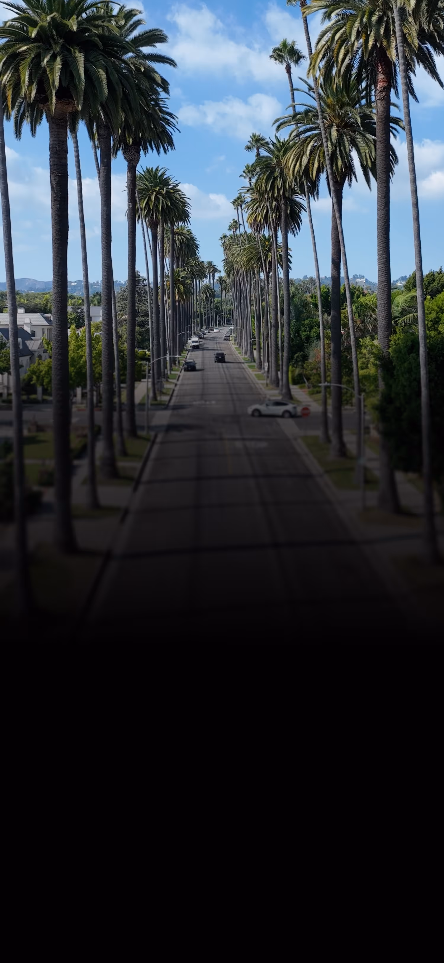 Long street lined with tall palm trees and cars under a blue sky with clouds.