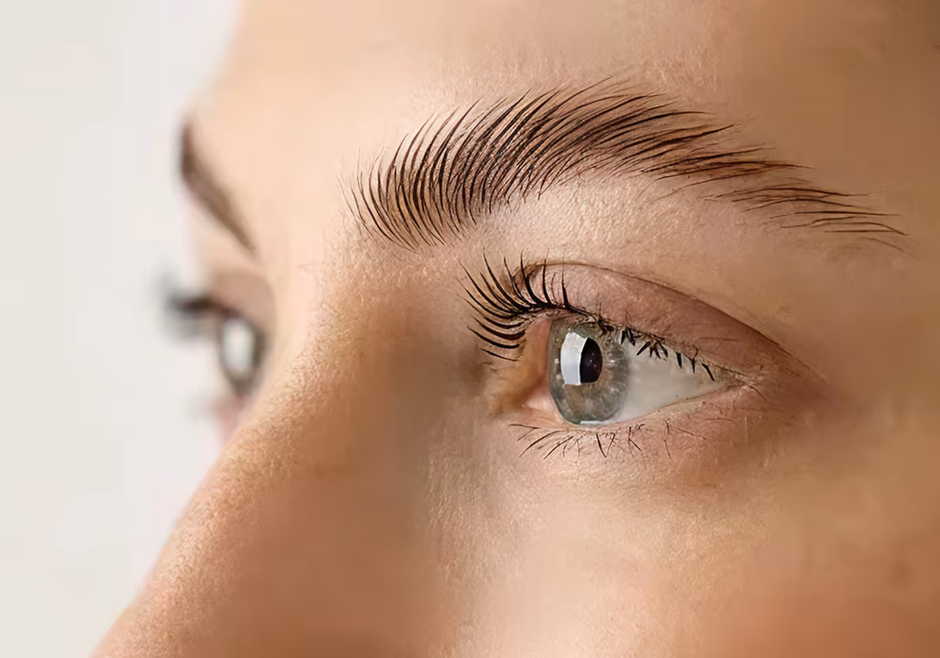 Close-up of a person's eye with long eyelashes and well-groomed eyebrow.