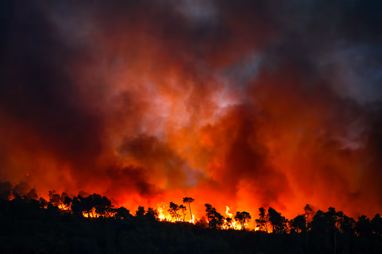 Forêt en feu dans l'Aude 