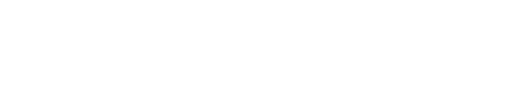 Securio Logo Monochrome White