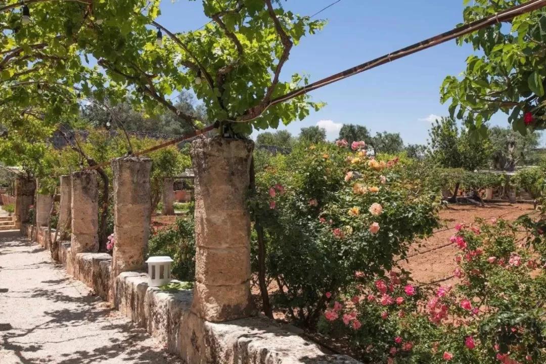 Masseria Torre Coccaro, Savelletri