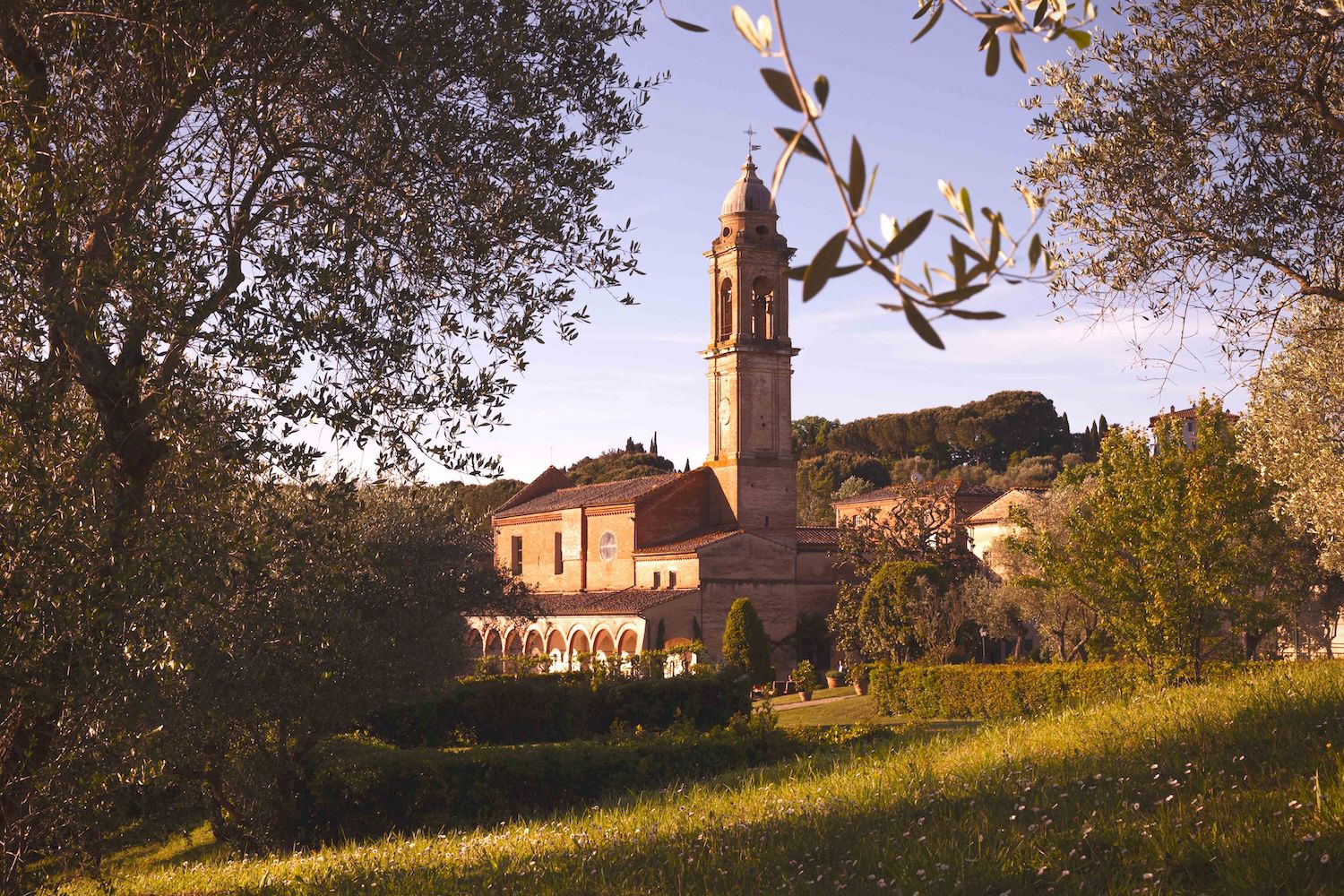 The campanile and cloister of La Certosa di Maggiano seen through the olives