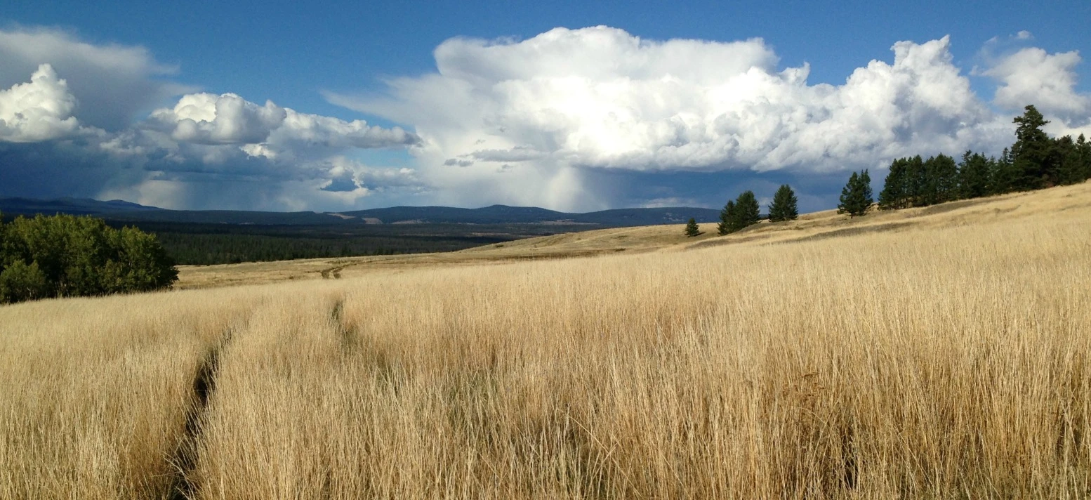 Thriving agricultural land — for landowners