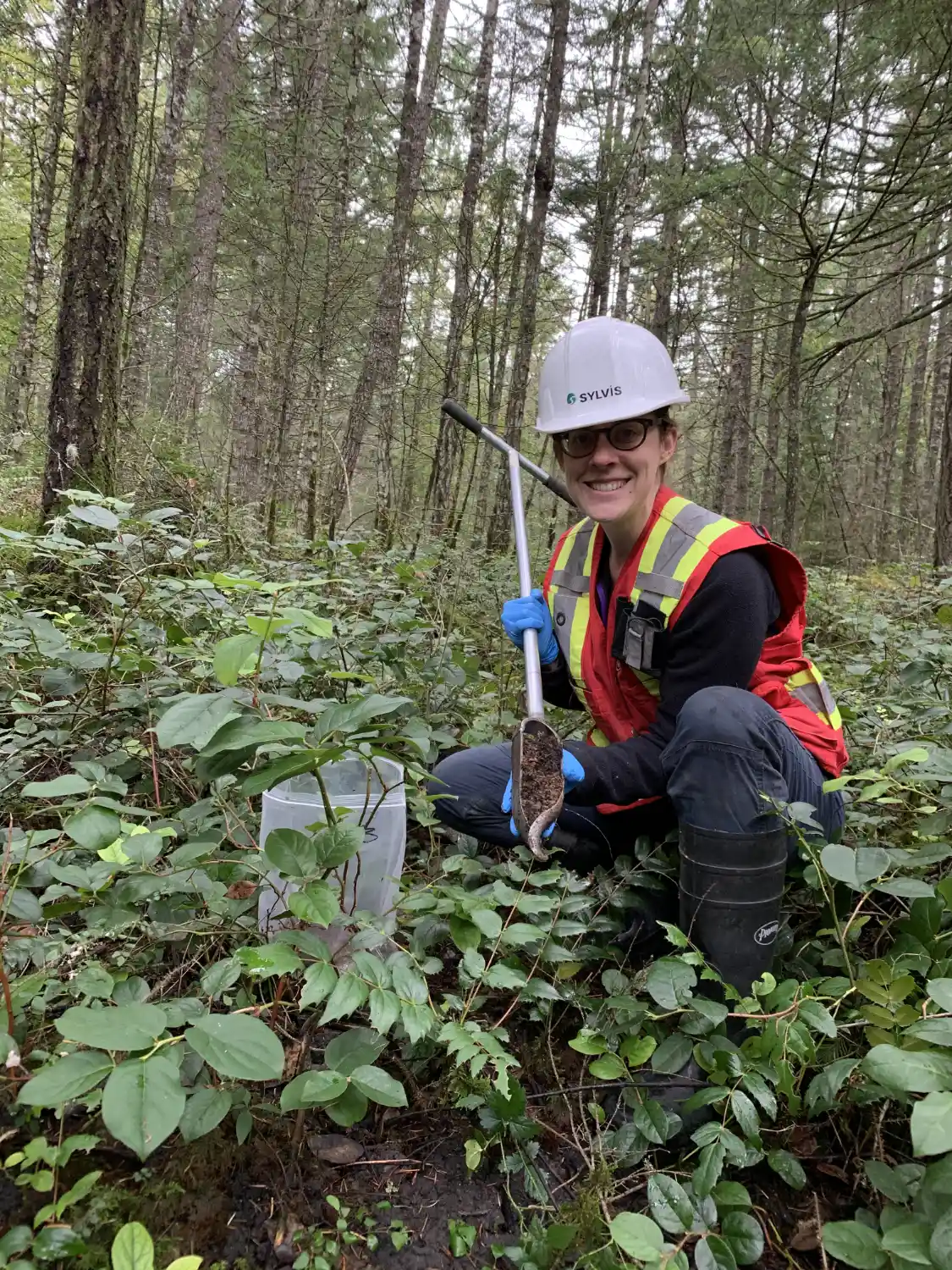 SYLVIS professionals at work in the field