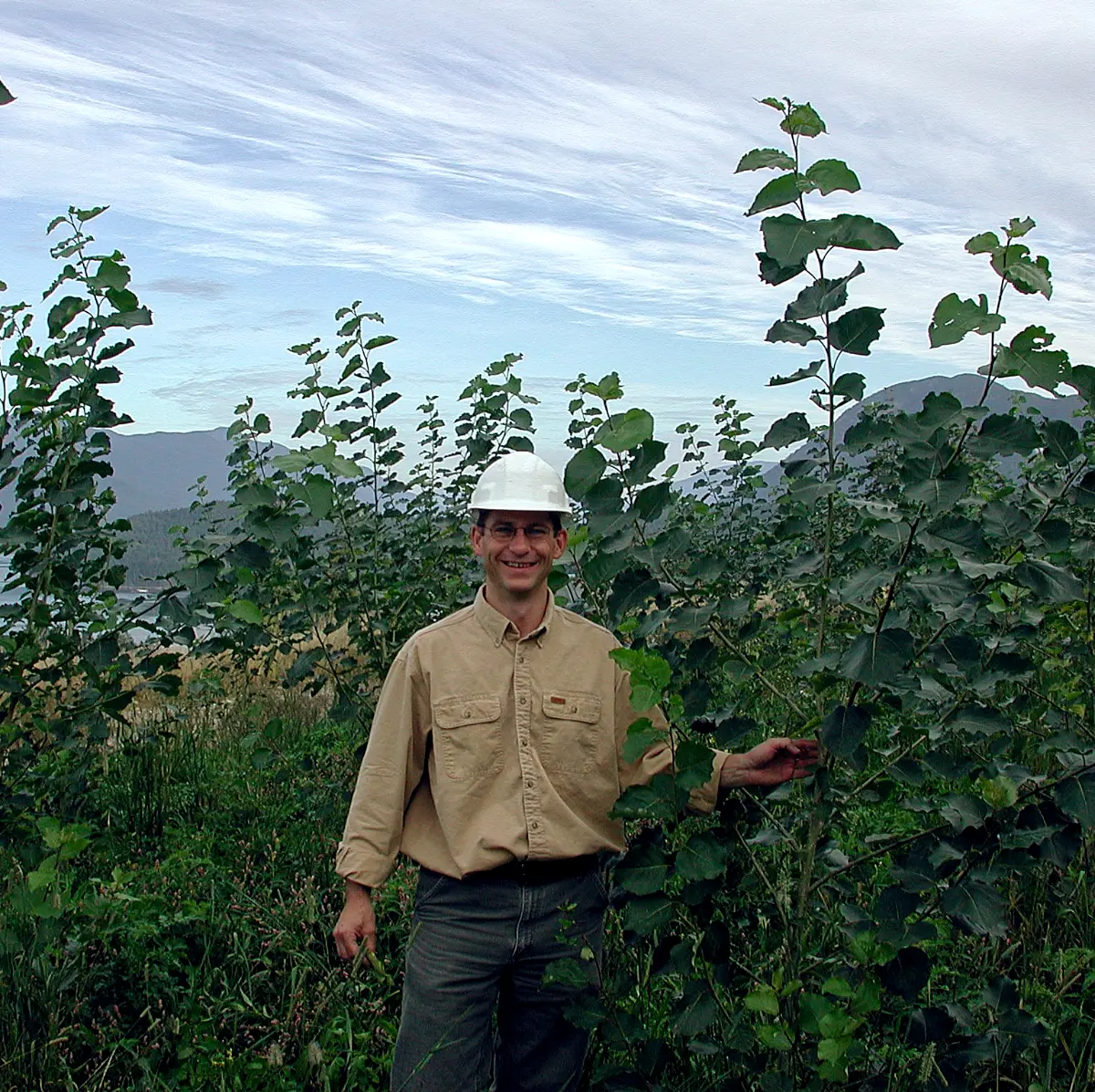 SYLVIS professionals at work in the field