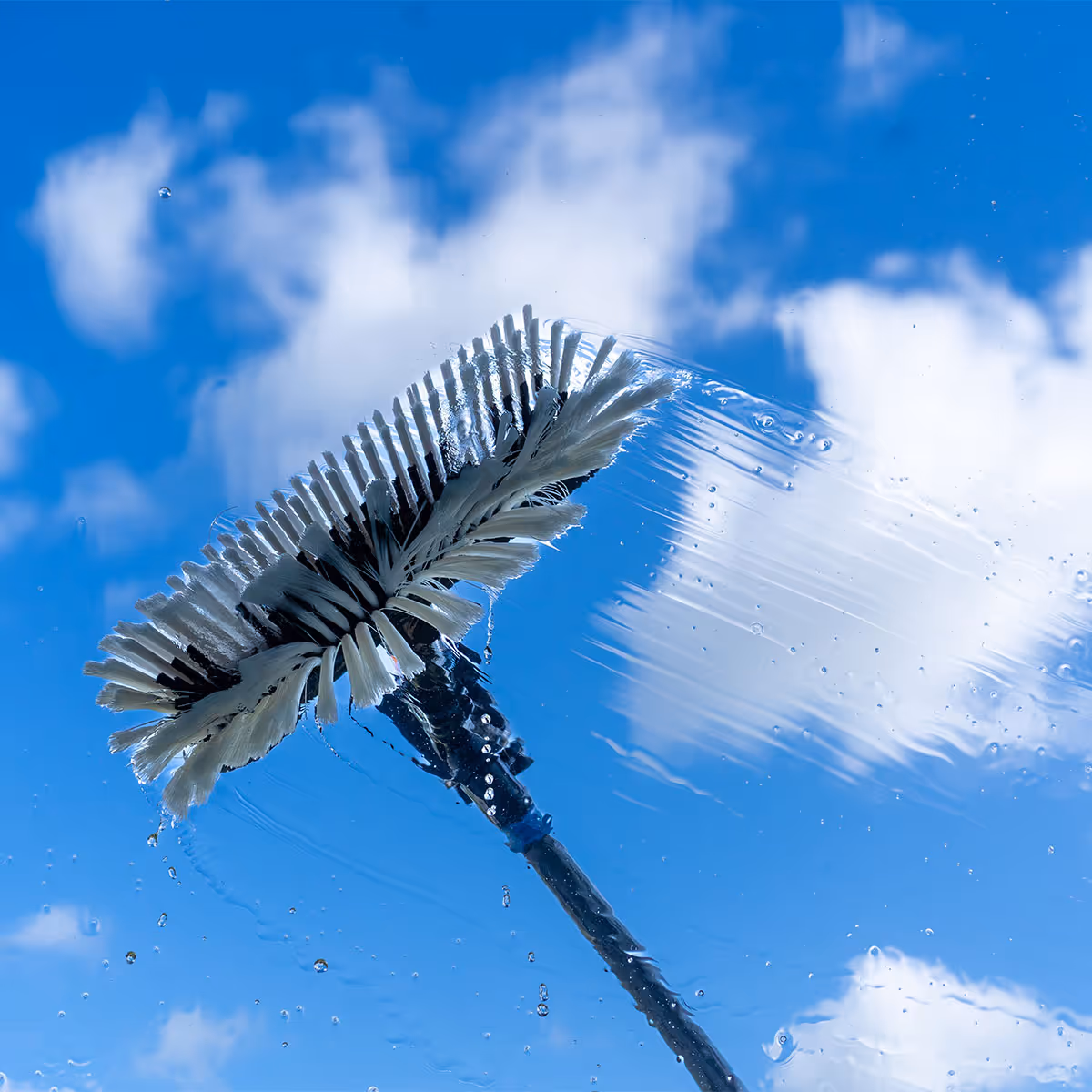 Professional water-fed pole window cleaning in progress.