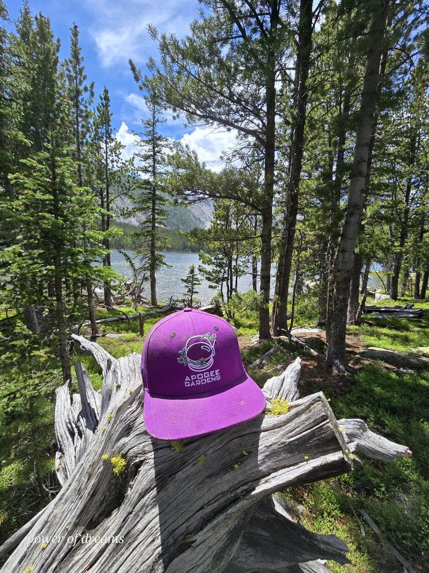 A purple Apogee Gardens hat on a log by a Montana lake.