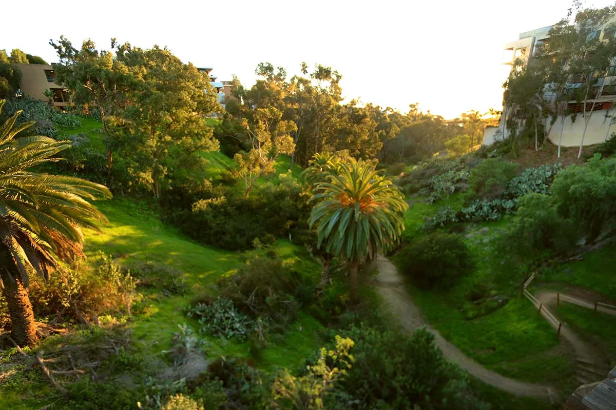 Maple Canyon Trailhead