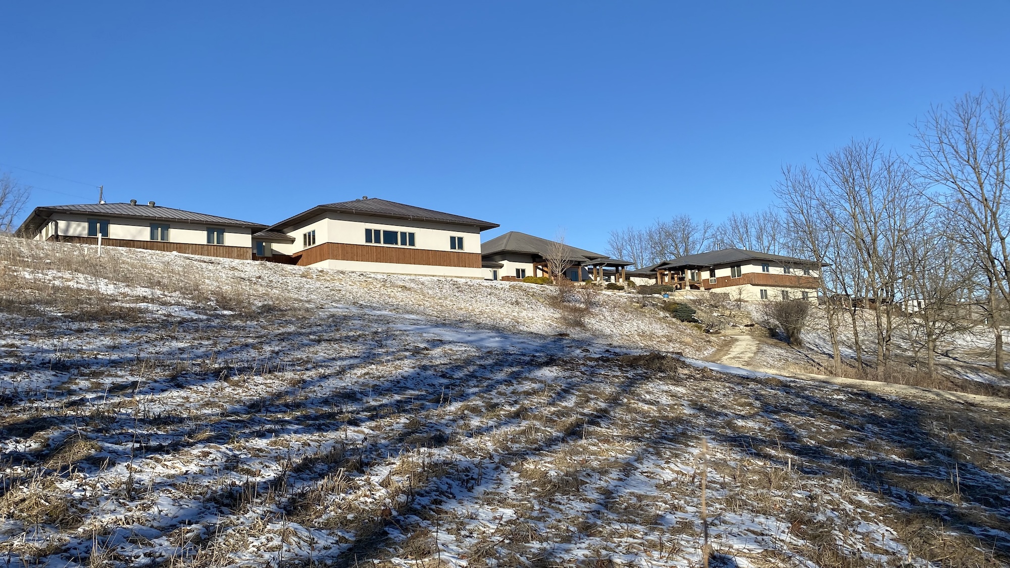 Cluster of modern houses on a snowy hill under a clear blue sky with bare trees.
