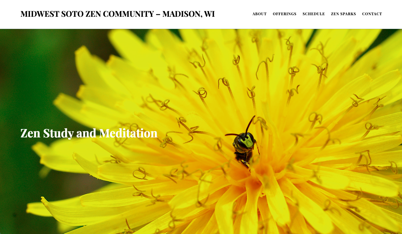 Midwest soto zen community website image. Close-up of a yellow dandelion flower with a small bee on its petals.