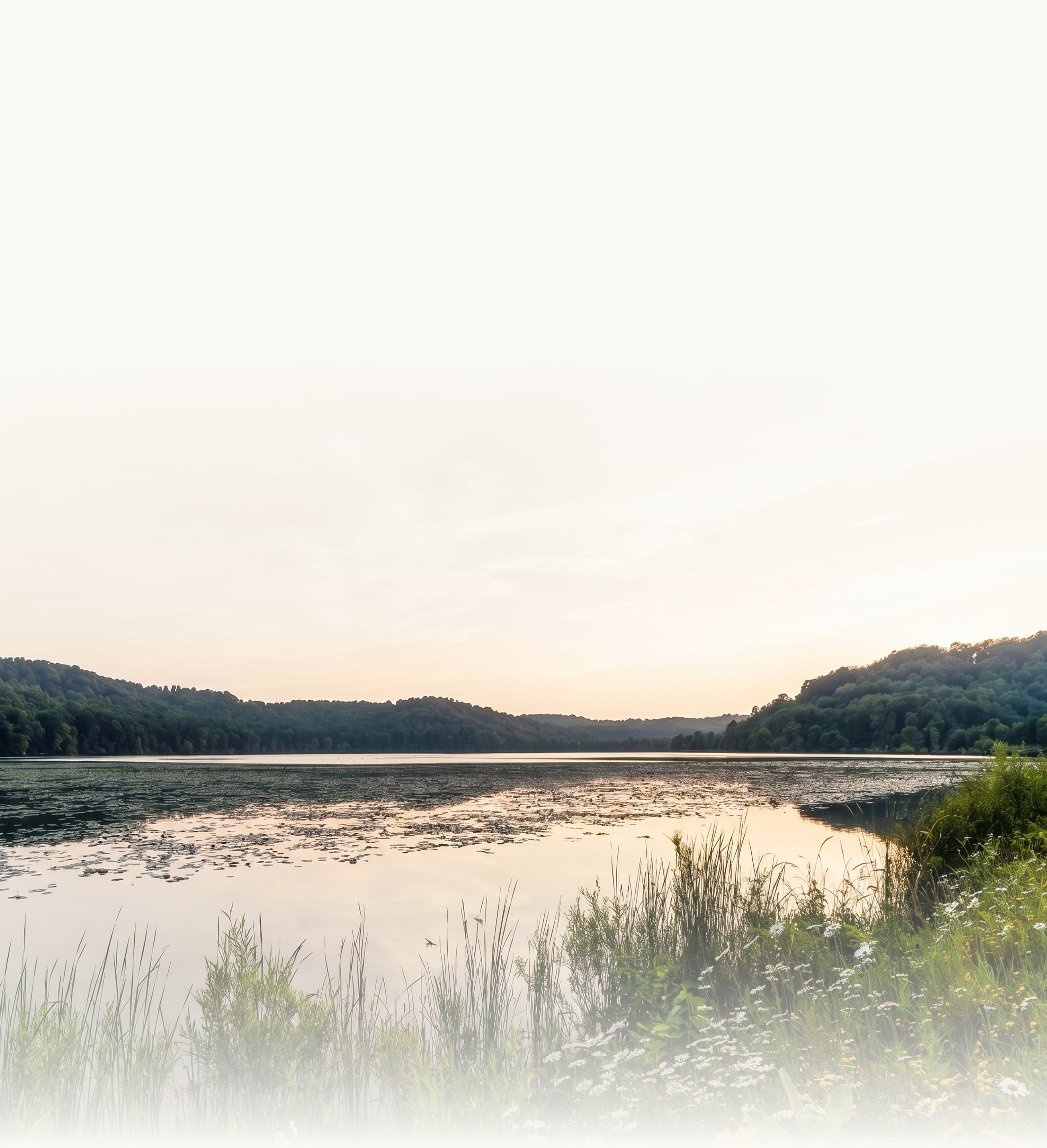 Peaceful lake at sunset with water lilies, surrounded by green hills and wildflowers in the foreground.