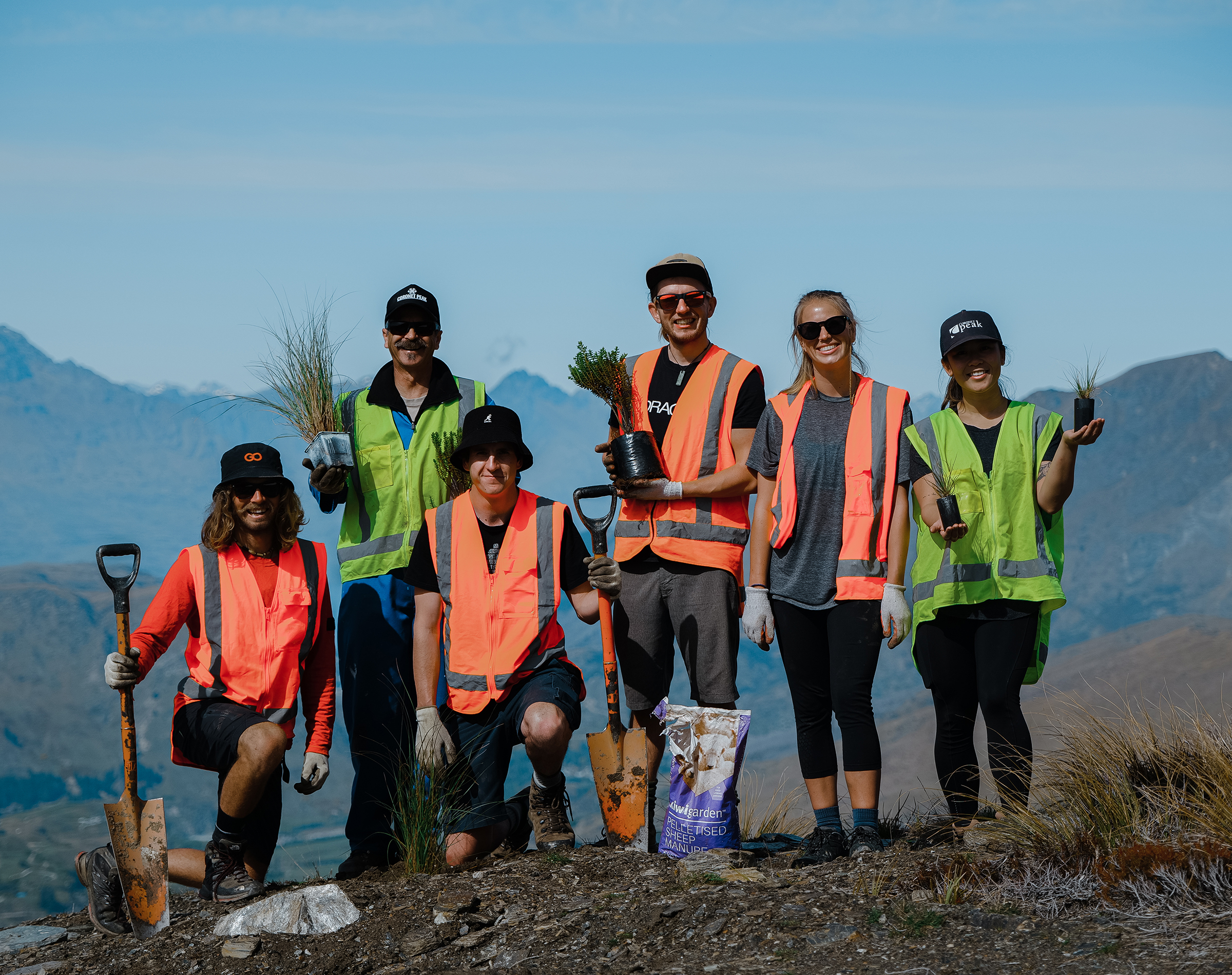 Group of six people wearing safety vests outdoors holding plants and shovels with mountains in background.