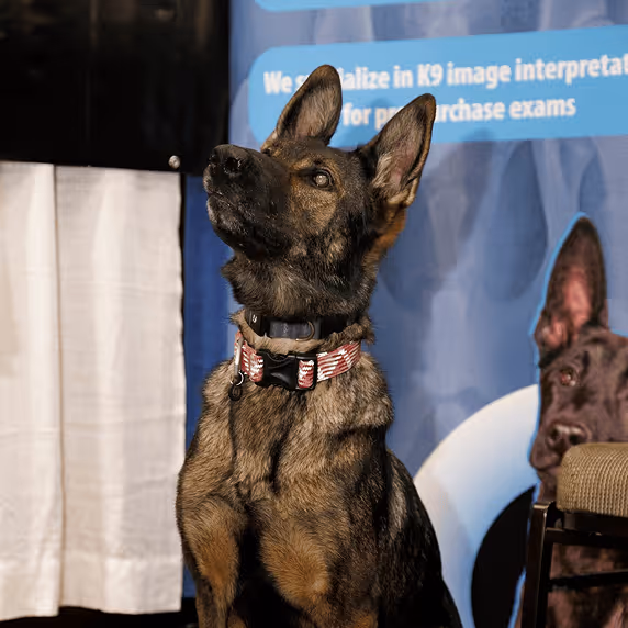 German Shepherd K-9 sitting alert in front of a vendor booth display at the HITS conference expo hall