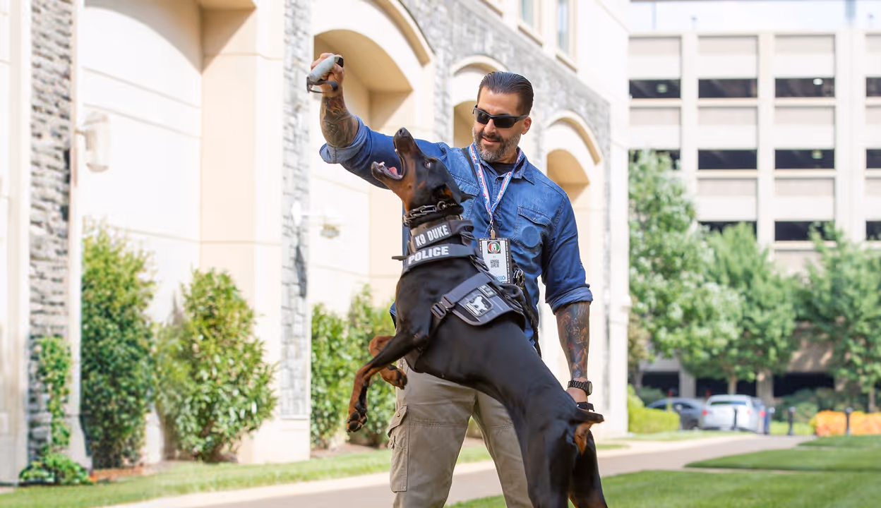 A man in sunglasses trains a police K9 Doberman jumping to catch a toy outside a building.