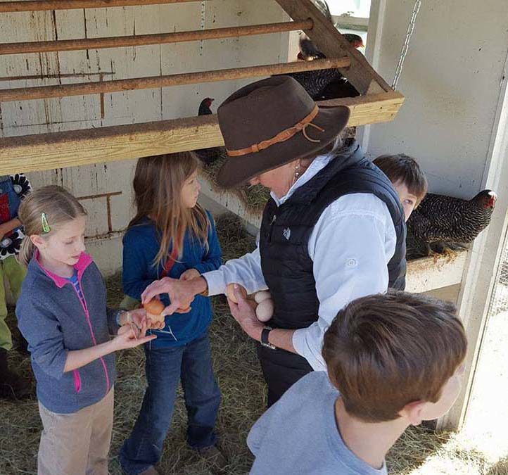 Blackwood LANDFARM Volunteer Sign-up