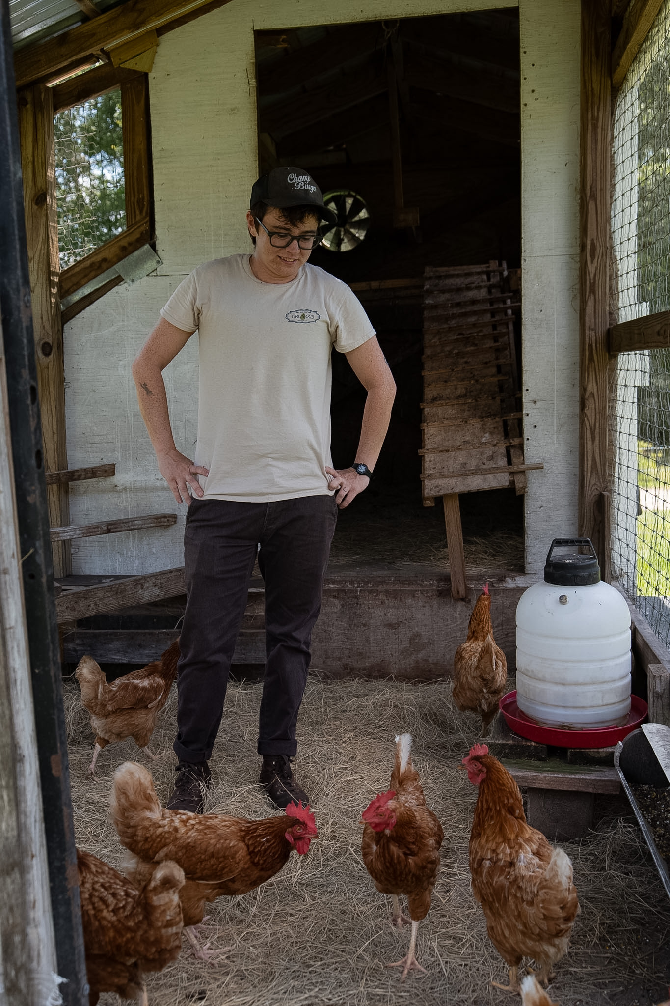 Open Farm Day at Blackwood Skyfarm