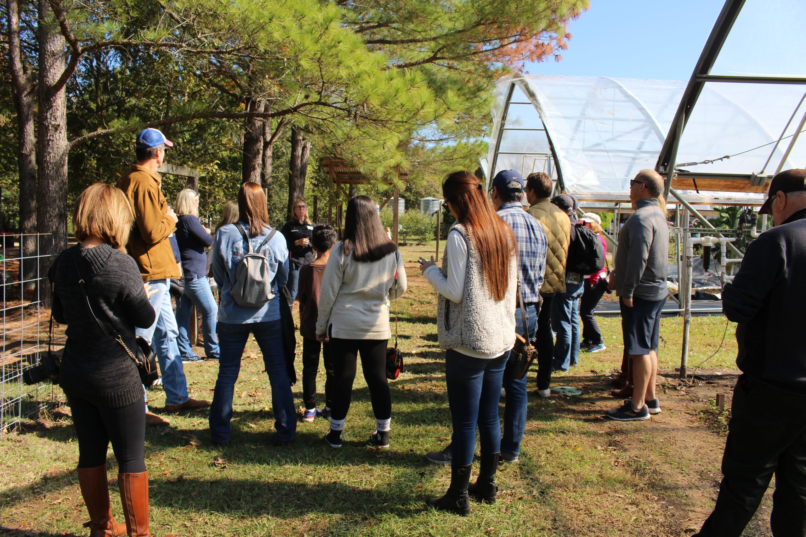Agritourism Days at Blackwood