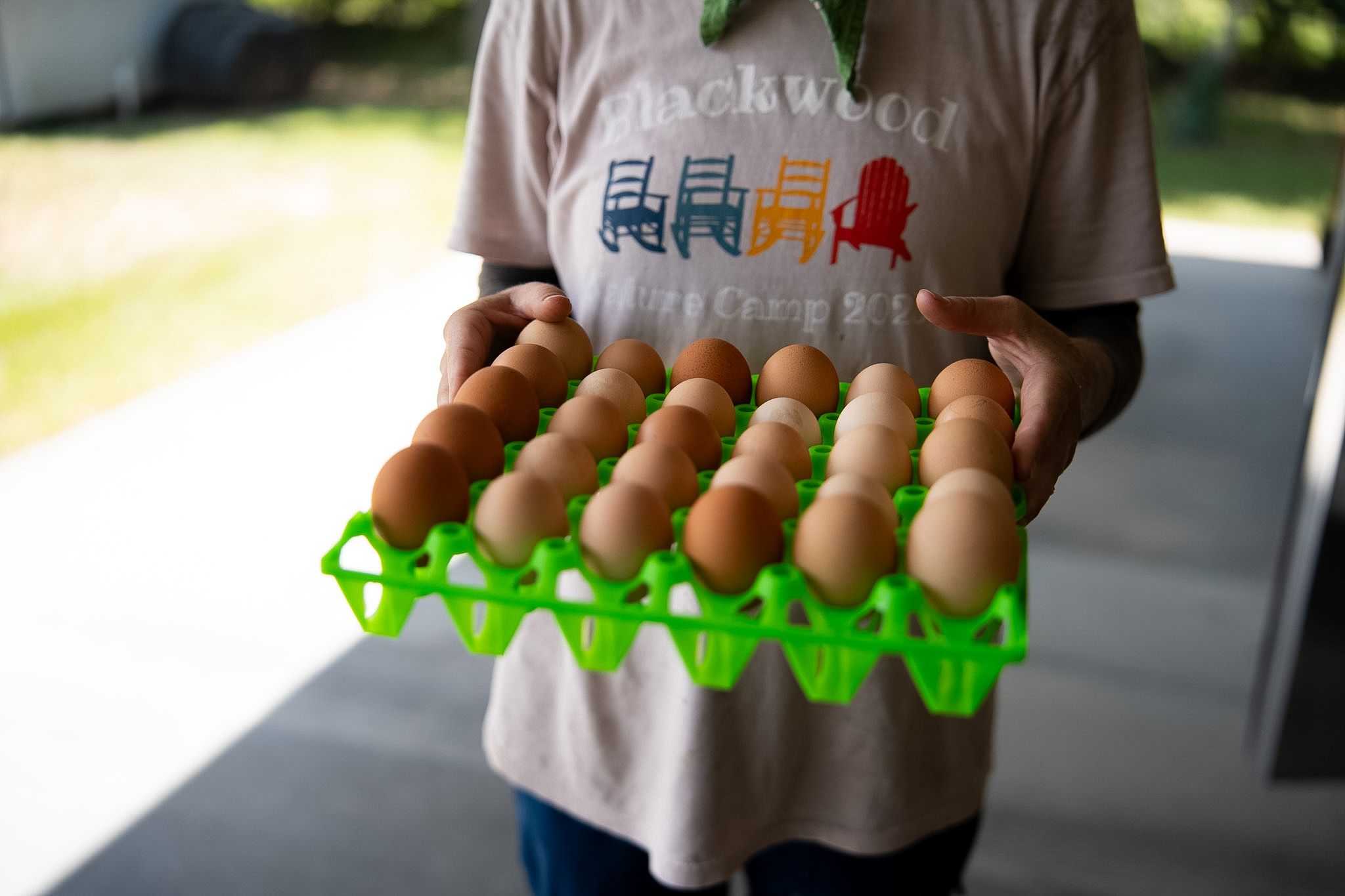 Urban Harvest Farmers Market