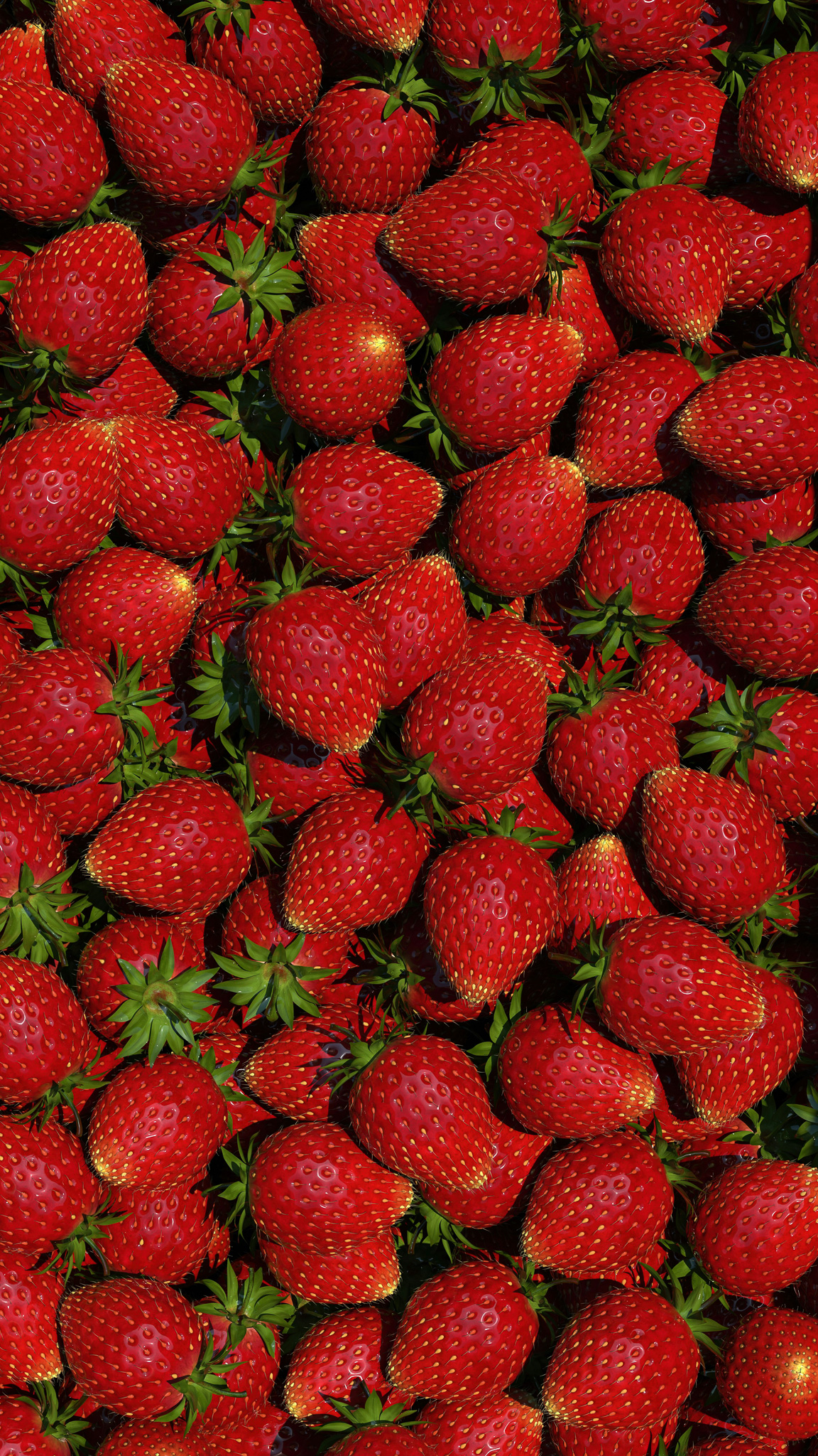 Tomball Farmers Market